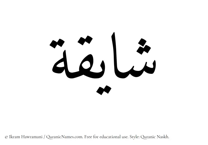 The Muslim name Shayiqah written in Quranic naskh script