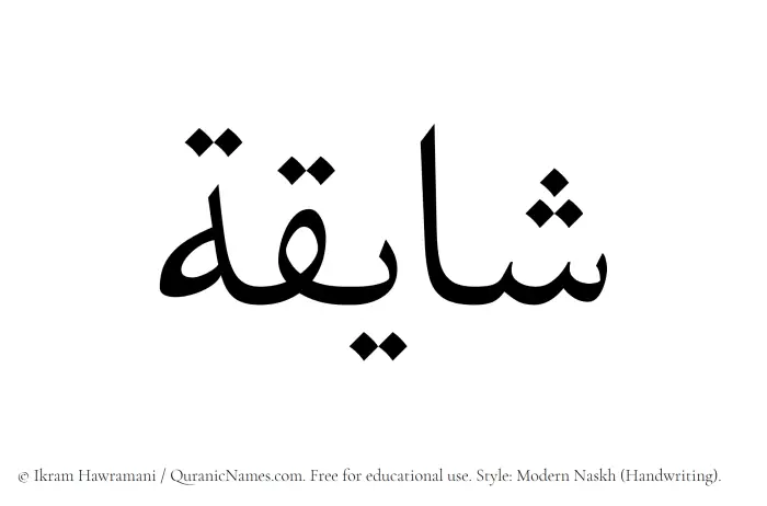 The Muslim name Shayiqah written in naskh script