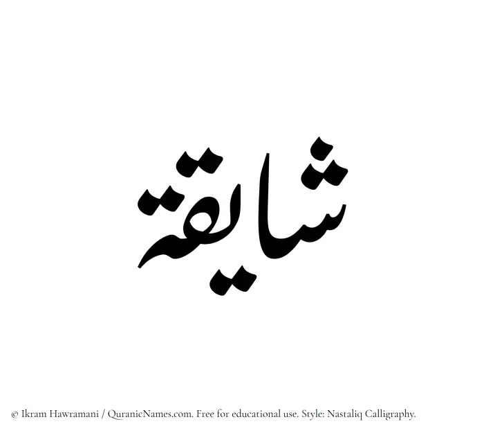 The Muslim name word Shayiqah written in Nastaliq calligraphic script