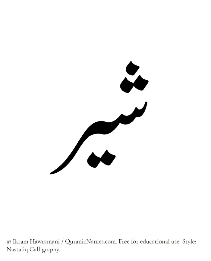 The Muslim name word Shayyir written in Nastaliq calligraphic script