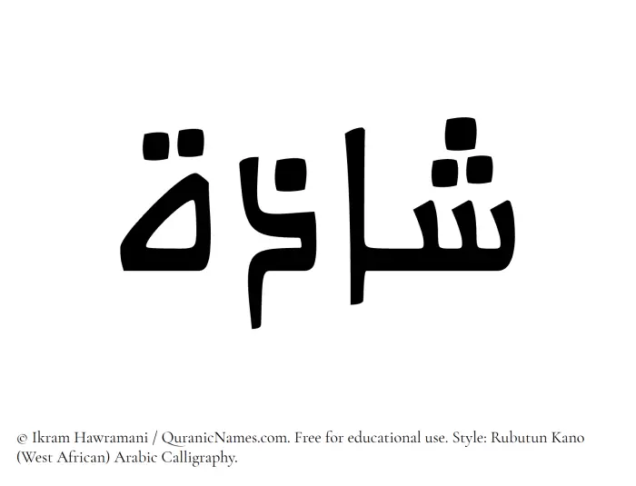 The Muslim name Shazah written in Rubutun Kano calligraphic script