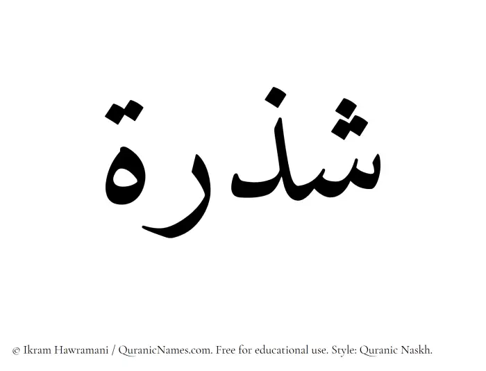 The Muslim name Shazrah written in Quranic naskh script