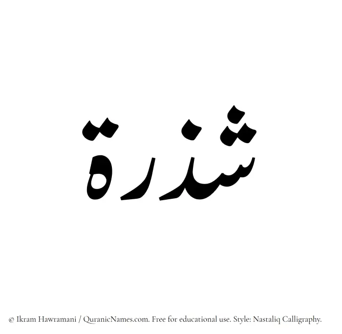The Muslim name word Shazrah written in Nastaliq calligraphic script