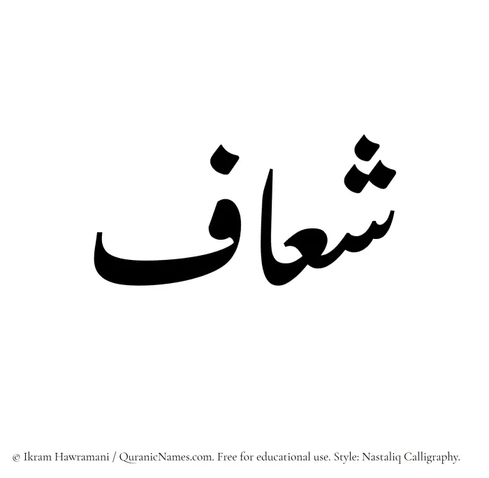 The Muslim name word Sheaaf written in Nastaliq calligraphic script