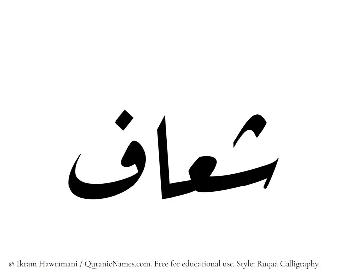 The Muslim name Sheaaf written in Ruqaa calligraphic script