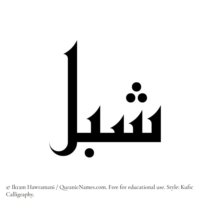 The Muslim name Shibl written in Kufi/Kufic calligraphic script