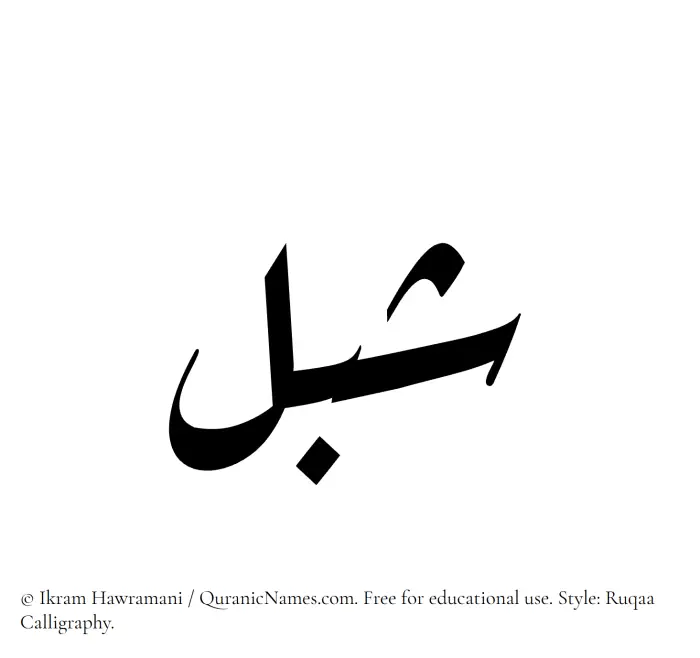 The Muslim name Shibl written in Ruqaa calligraphic script