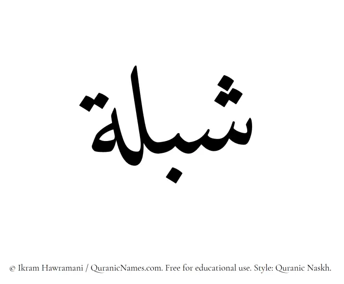 The Muslim name Shiblah written in Quranic naskh script