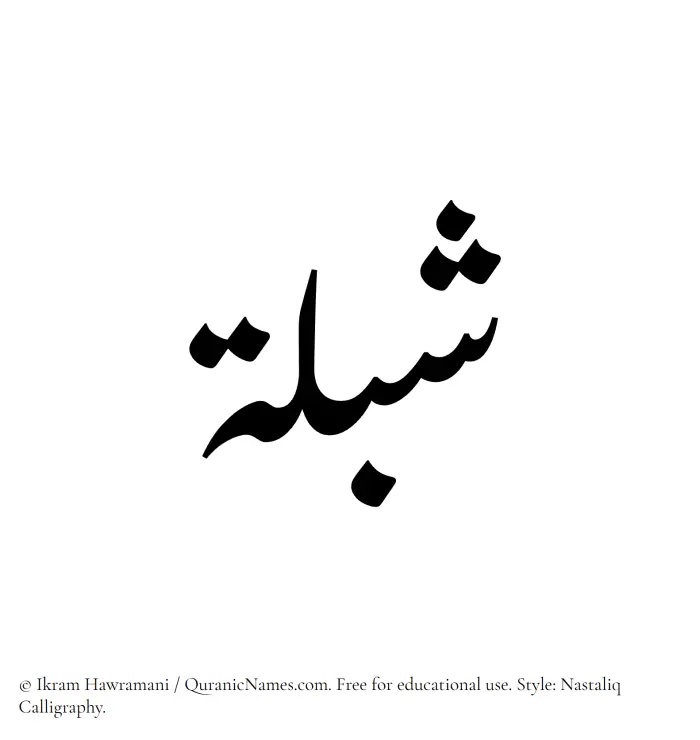 The Muslim name word Shiblah written in Nastaliq calligraphic script