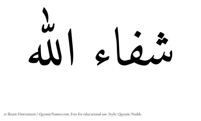 The Muslim name Shifaullah written in Quranic naskh script