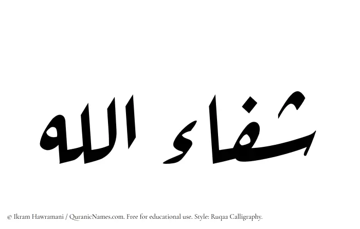The Muslim name Shifaullah written in Ruqaa calligraphic script