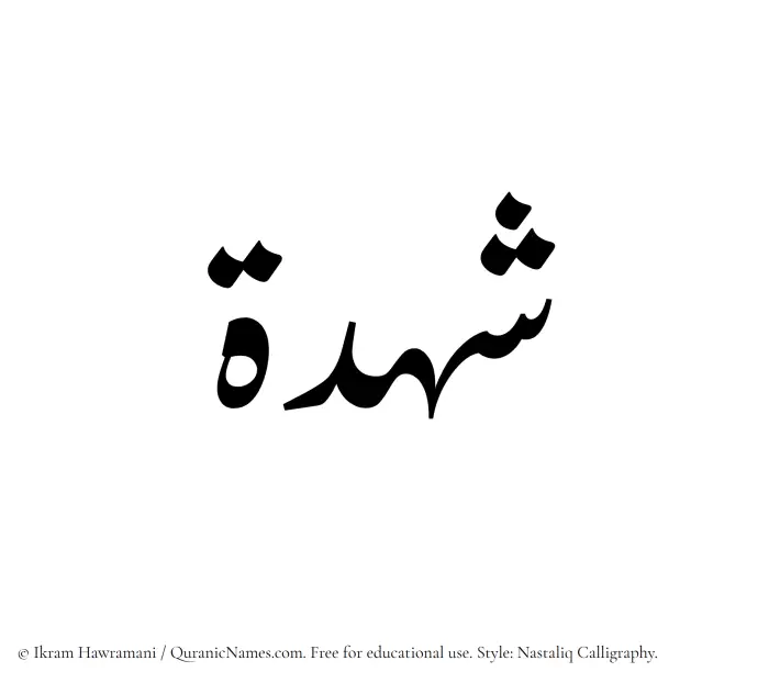 The Muslim name word Shuhdah written in Nastaliq calligraphic script
