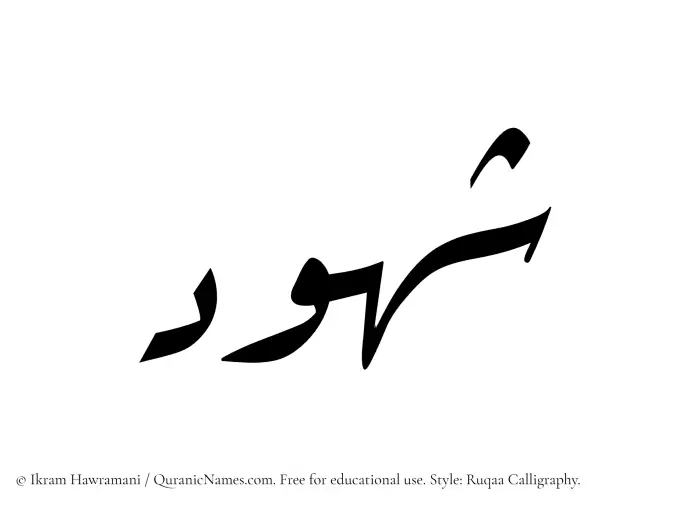 The Muslim name Shuhud written in Ruqaa calligraphic script