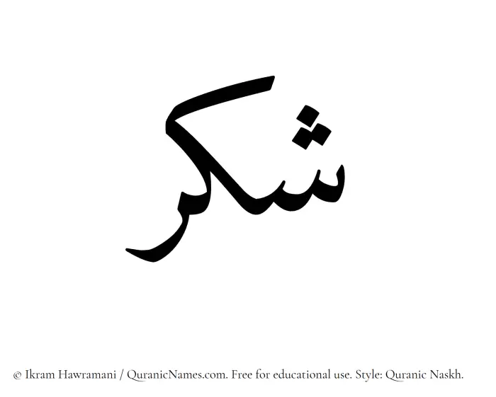 The Muslim name Shukr written in Quranic naskh script
