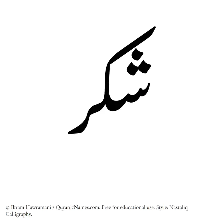 The Muslim name word Shukr written in Nastaliq calligraphic script