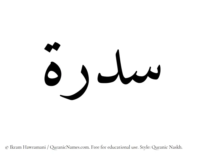 The Muslim name Sidra written in Quranic naskh script