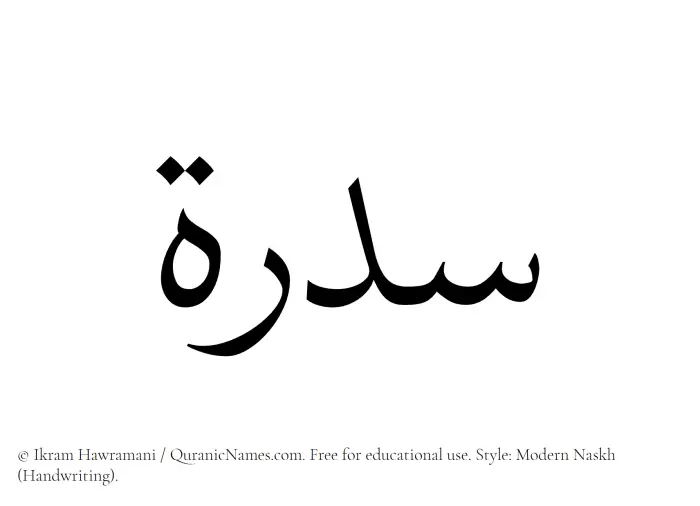 The Muslim name Sidra written in naskh script