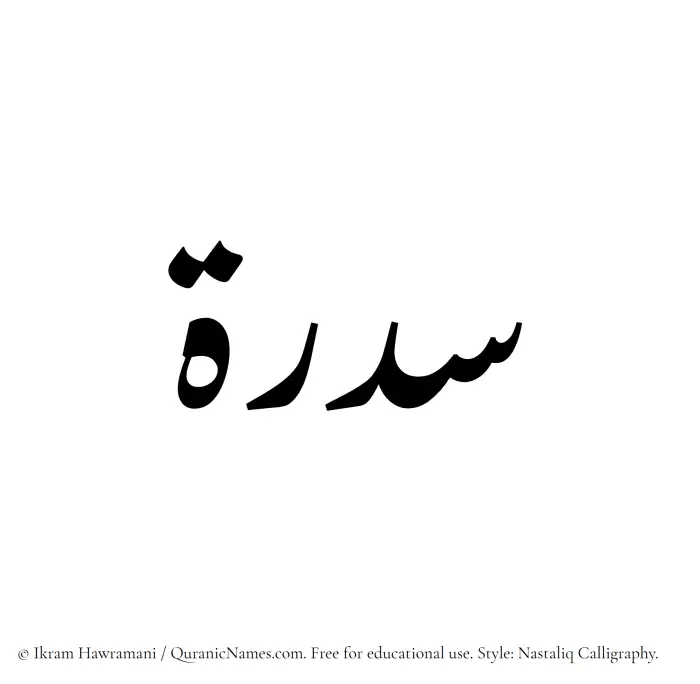 The Muslim name word Sidra written in Nastaliq calligraphic script