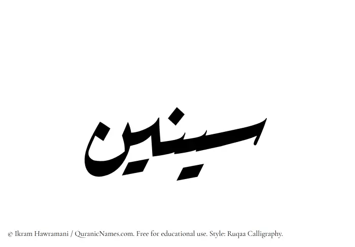 The Muslim name Sineen written in Ruqaa calligraphic script