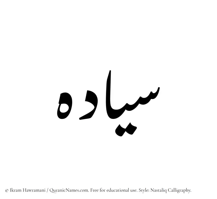 The Muslim name word Siyadah written in Nastaliq calligraphic script