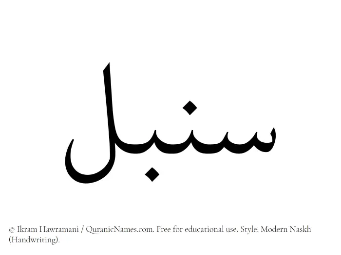 The Muslim name Sonbol written in naskh script