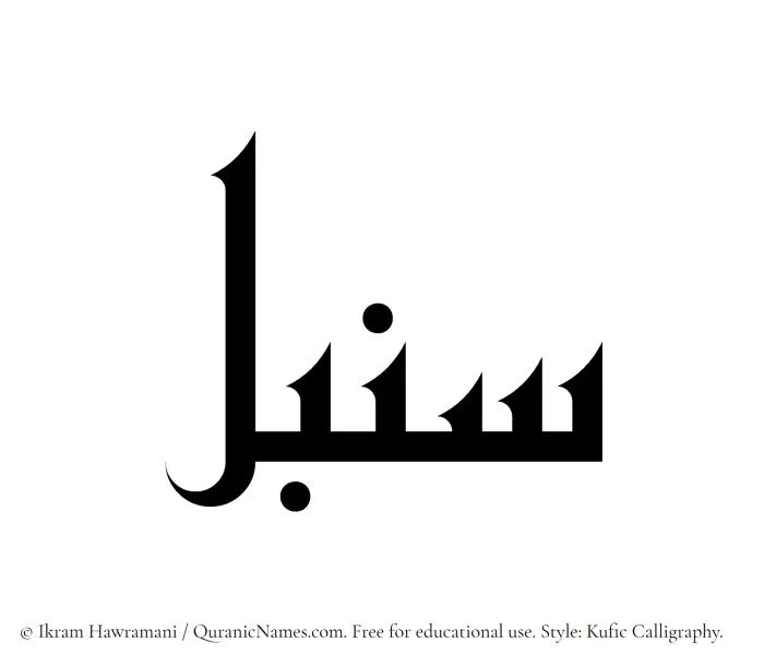 The Muslim name Sonbol written in Kufi/Kufic calligraphic script