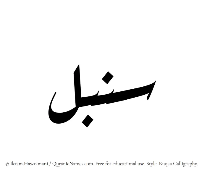 The Muslim name Sonbol written in Ruqaa calligraphic script