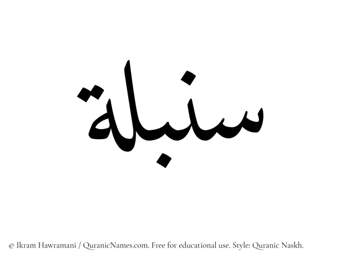The Muslim name Sonbula written in Quranic naskh script