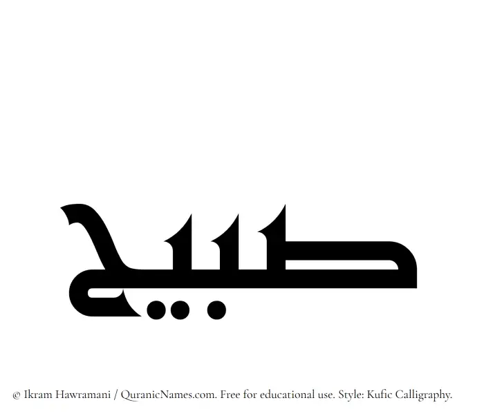 The Muslim name Subaih written in Kufi/Kufic calligraphic script