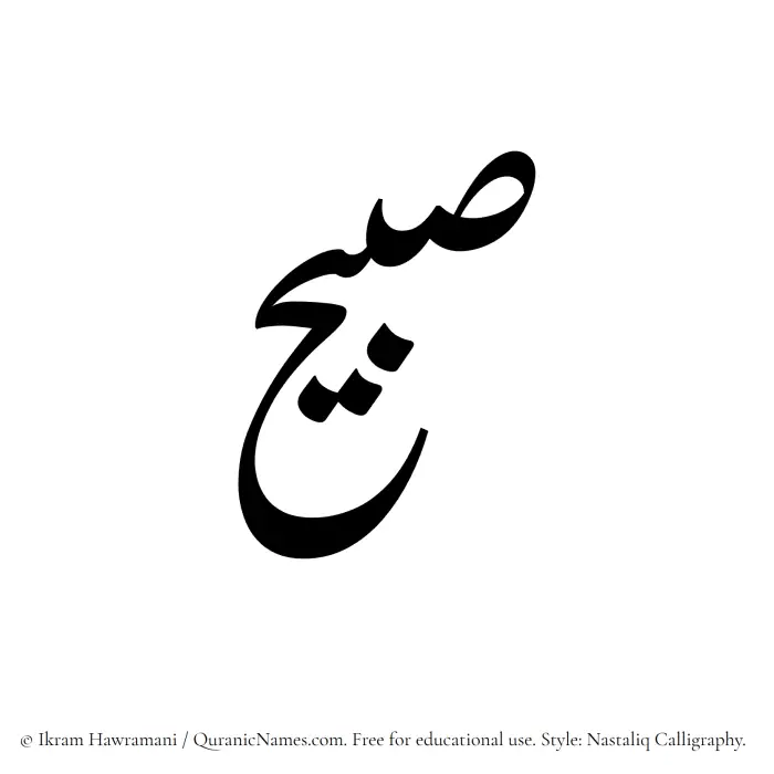 The Muslim name word Subaih written in Nastaliq calligraphic script