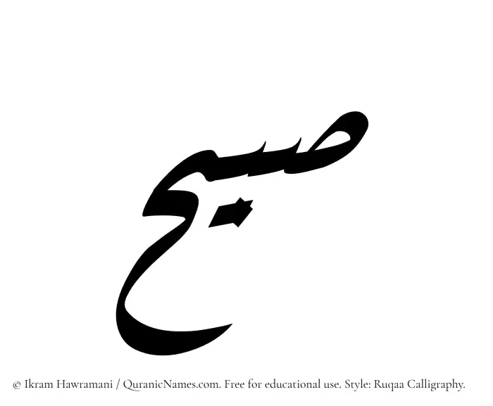 The Muslim name Subaih written in Ruqaa calligraphic script