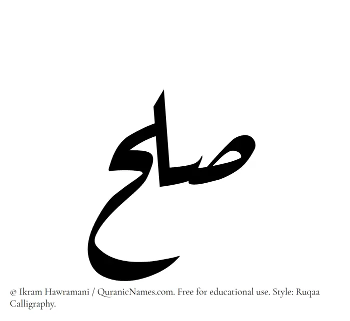 The Muslim name Sulh written in Ruqaa calligraphic script