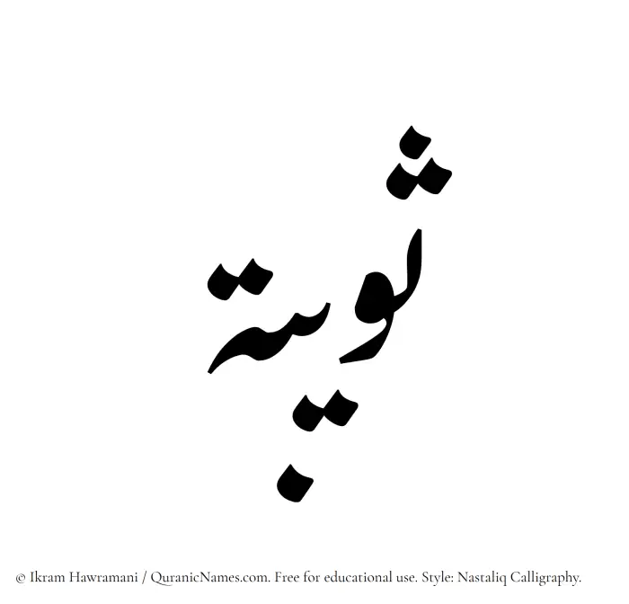 The Muslim name word Suwaiba written in Nastaliq calligraphic script