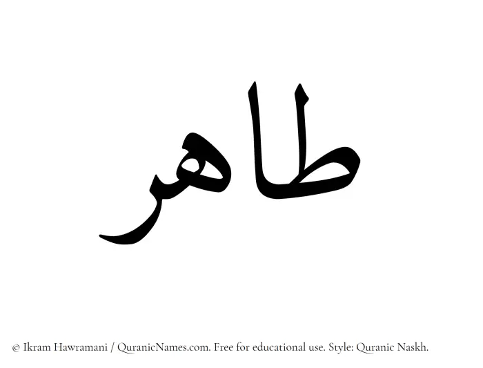 The Muslim name Tahir written in Quranic naskh script