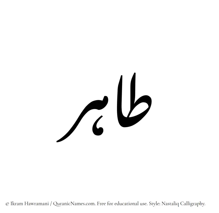 The Muslim name word Tahir written in Nastaliq calligraphic script
