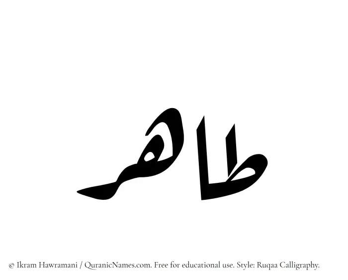 The Muslim name Tahir written in Ruqaa calligraphic script