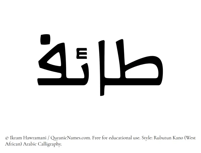 The Muslim name Taif written in Rubutun Kano calligraphic script