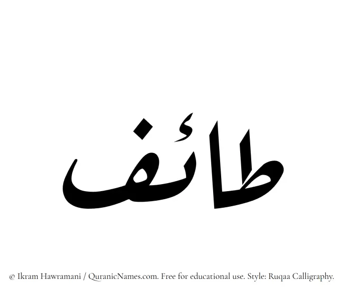 The Muslim name Taif written in Ruqaa calligraphic script