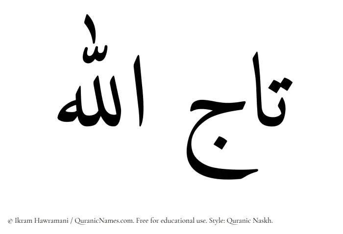 The Muslim name Tajallah written in Quranic naskh script
