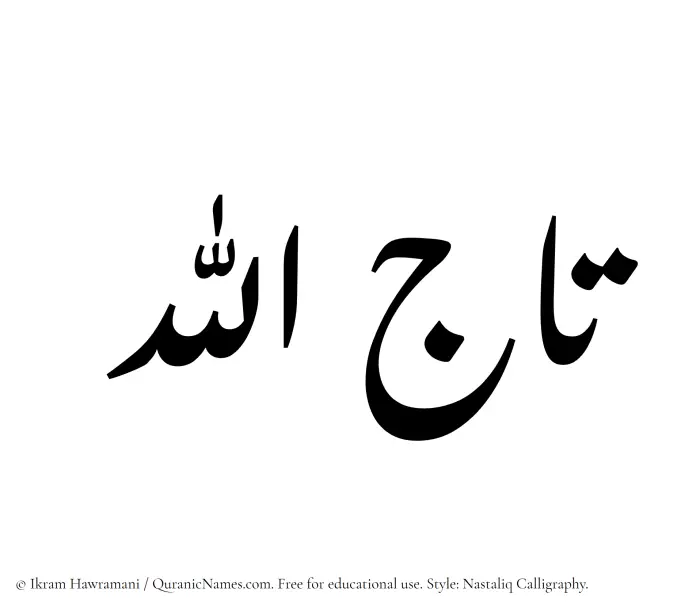 The Muslim name word Tajallah written in Nastaliq calligraphic script
