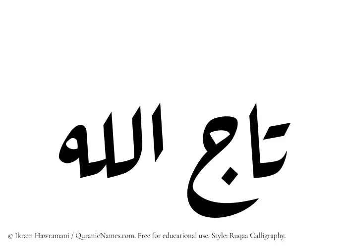 The Muslim name Tajallah written in Ruqaa calligraphic script
