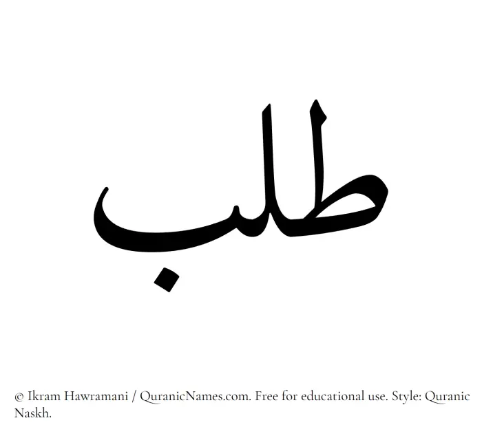 The Muslim name Talab written in Quranic naskh script