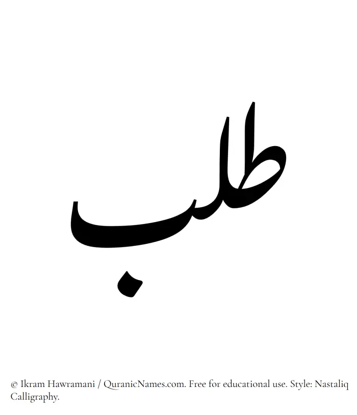 The Muslim name word Talab written in Nastaliq calligraphic script