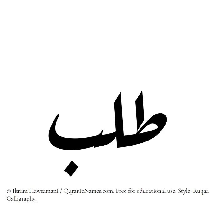 The Muslim name Talab written in Ruqaa calligraphic script