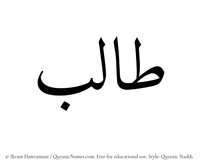 The Muslim name Talib written in Quranic naskh script