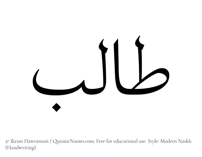 The Muslim name Talib written in naskh script