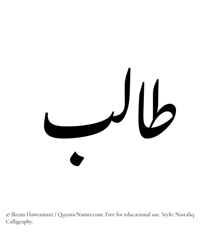 The Muslim name word Talib written in Nastaliq calligraphic script