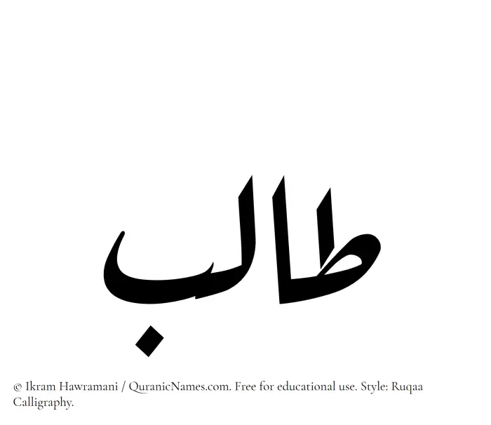 The Muslim name Talib written in Ruqaa calligraphic script