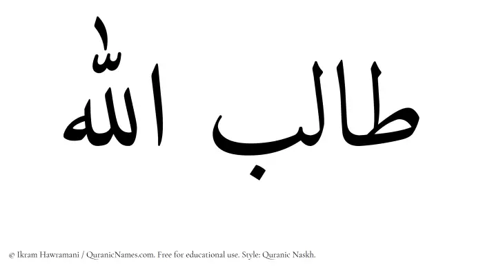 The Muslim name Talibullah written in Quranic naskh script