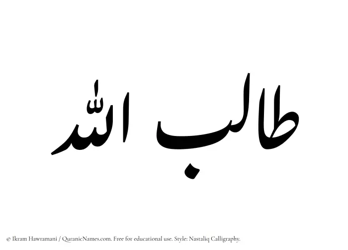 The Muslim name word Talibullah written in Nastaliq calligraphic script